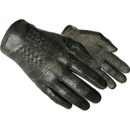 ★ Driver Gloves | Racing Green (Field-Tested)