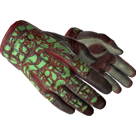 ★ Sport Gloves | Bronze Morph (Field-Tested)