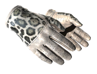 ★ Driver Gloves | Snow Leopard (Minimal Wear)