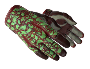 ★ Sport Gloves | Bronze Morph (Well-Worn)