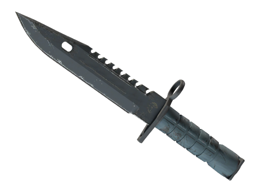 ★ M9 Bayonet | Night (Field-Tested)