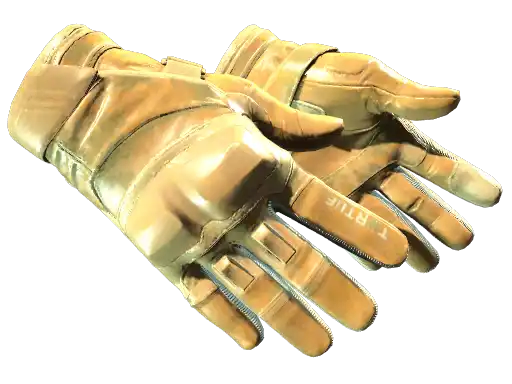★ Moto Gloves | Transport (Factory New)