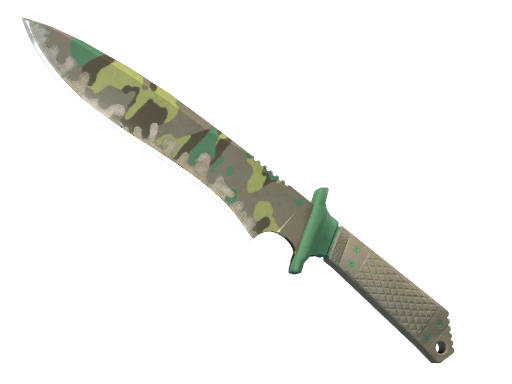 ★ Classic Knife | Boreal Forest (Well-Worn)