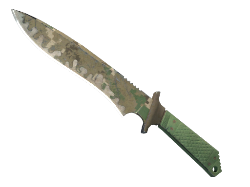 ★ Classic Knife | Forest DDPAT (Battle-Scarred)