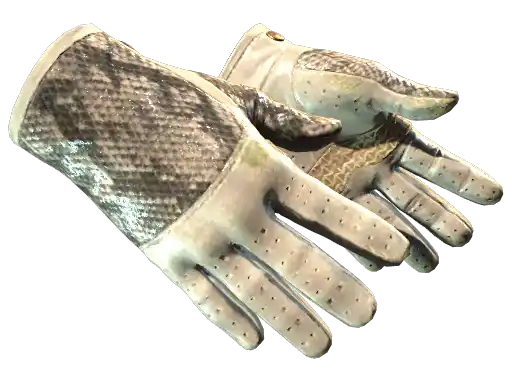 ★ Driver Gloves | King Snake (Field-Tested)