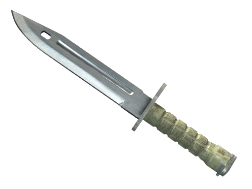 ★ StatTrak™ Bayonet