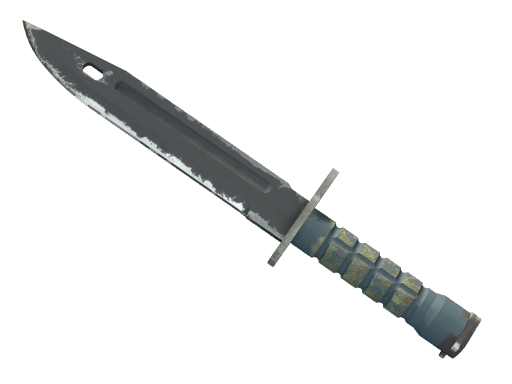 ★ StatTrak™ Bayonet | Night (Field-Tested)