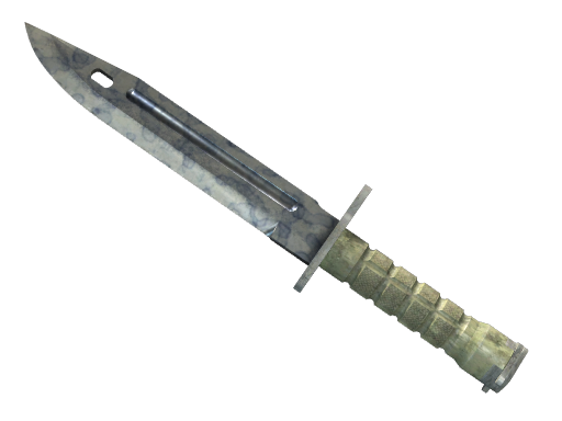 ★ StatTrak™ Bayonet | Stained (Field-Tested)