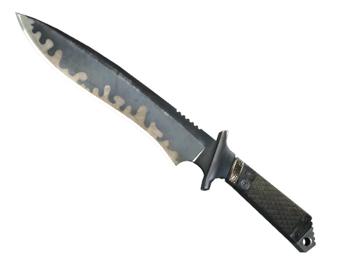 ★ StatTrak™ Classic Knife