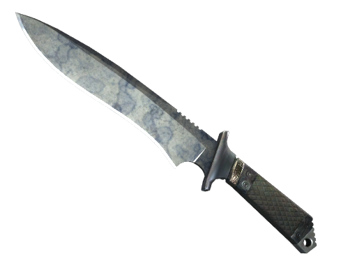 ★ StatTrak™ Classic Knife | Stained (Field-Tested)