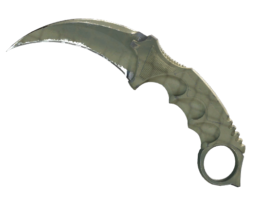 ★ StatTrak™ Karambit | Safari Mesh (Well-Worn)