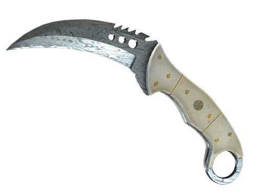 ★ StatTrak™ Talon Knife | Damascus Steel (Field-Tested)