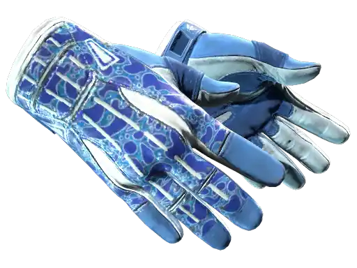 ★ Sport Gloves | Amphibious (Minimal Wear)