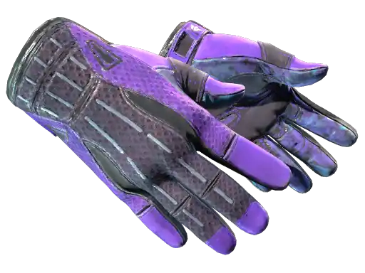 ★ Sport Gloves | Pandora's Box (Well-Worn)