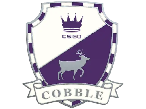 Cobblestone Pin