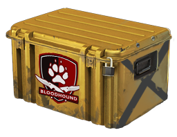 Falchion Case