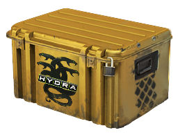 Operation Hydra Case