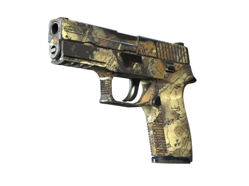 P250 | Contamination (Field-Tested)