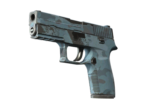 P250 | Forest Night (Field-Tested)