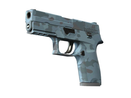 P250 | Forest Night (Minimal Wear)
