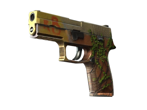 P250 | Inferno (Well-Worn)