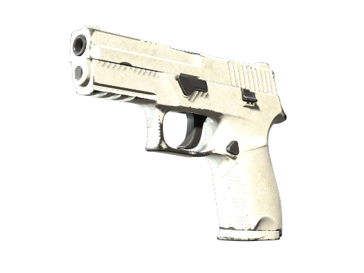 P250 | Whiteout (Well-Worn)