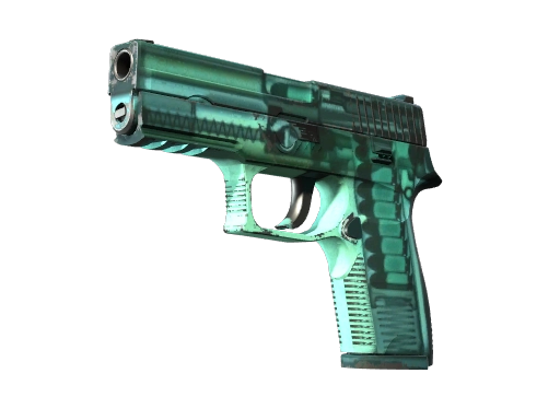 P250 | X-Ray (Field-Tested)